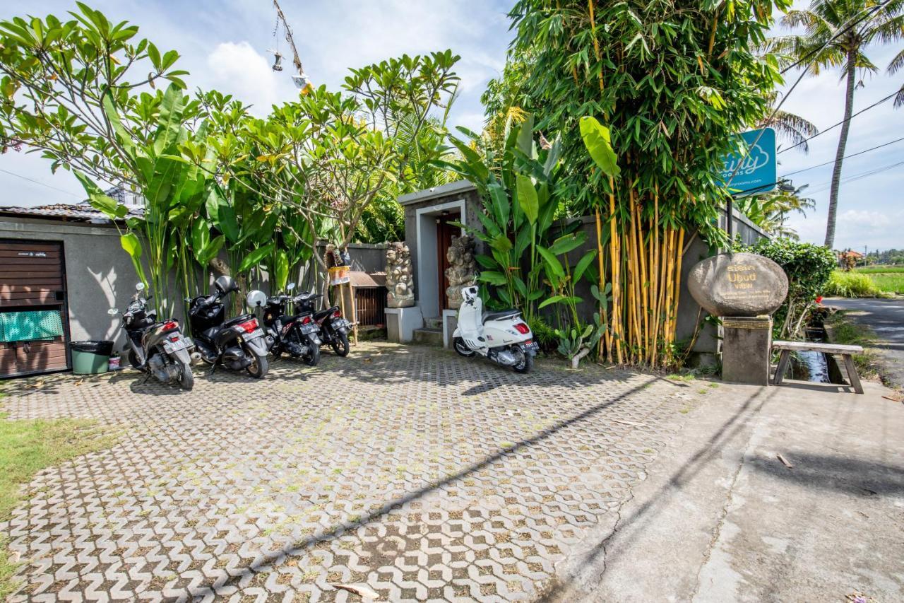 Sisin Ubud View Exteriör bild