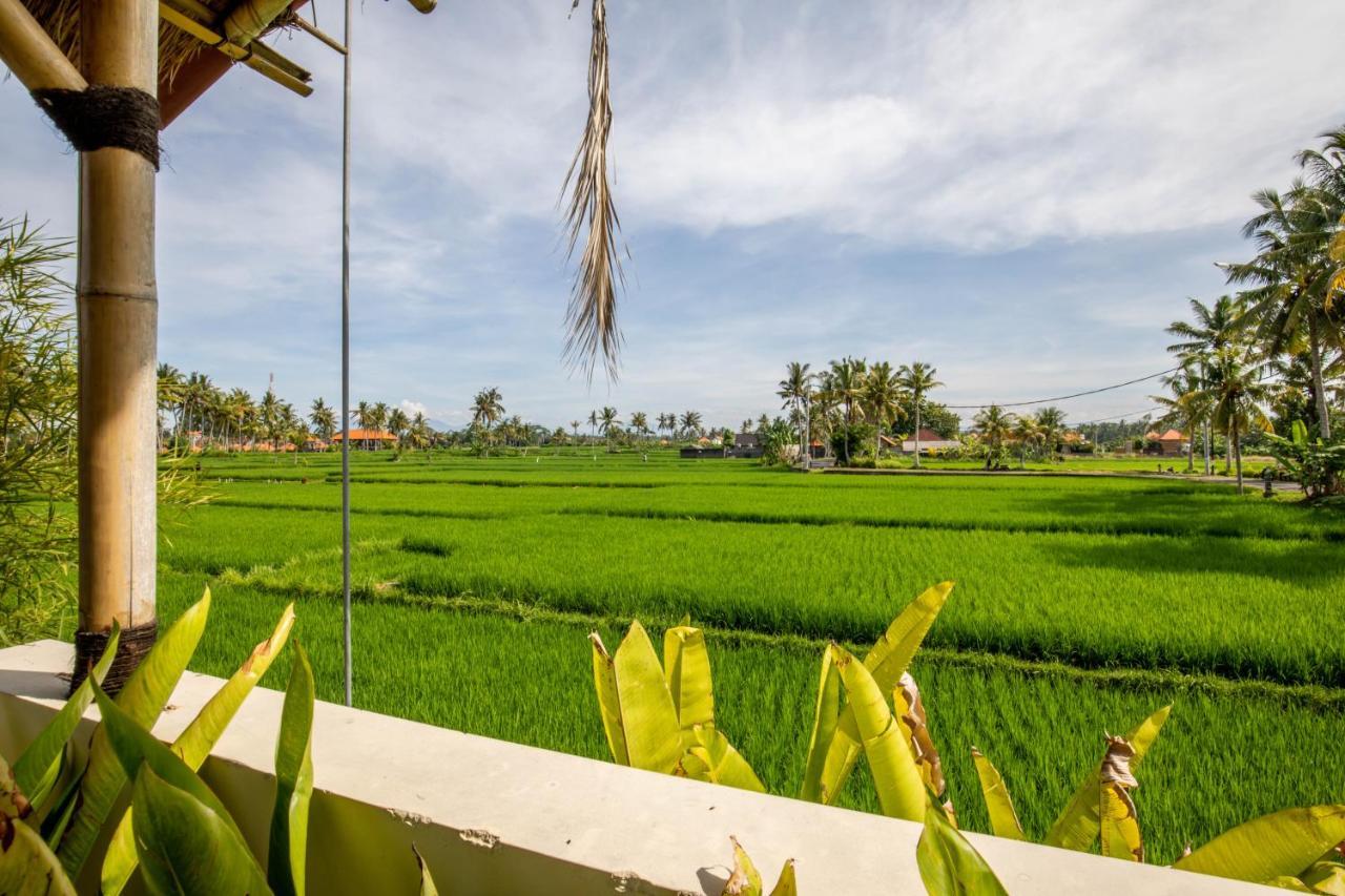 Sisin Ubud View Exteriör bild